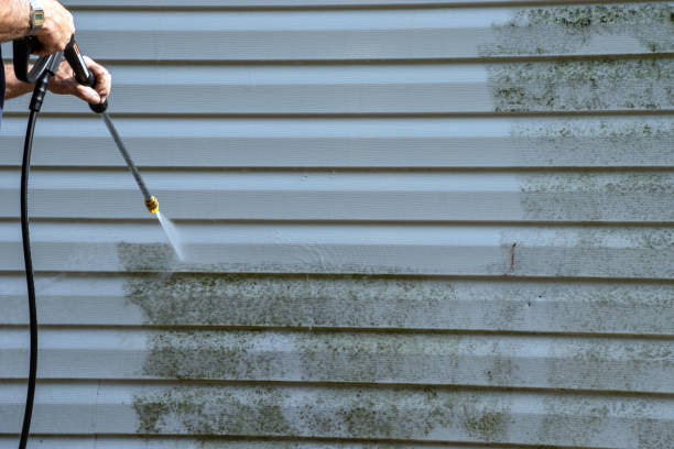 Best Hoarding Cleanup  in Fairfax, CA